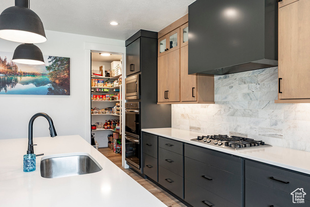 Photo 8 for MLS #2106639 at 223 W Goosenest Dr