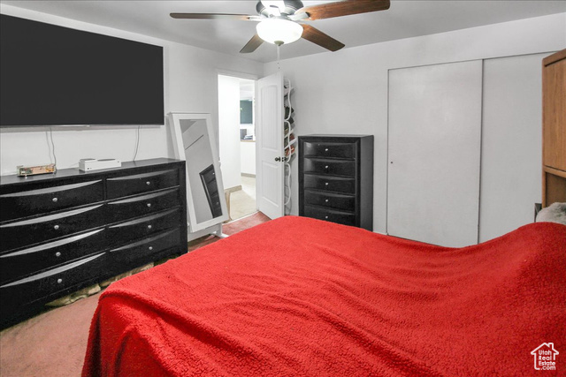 Photo 14 for MLS #2106643 at 448 Parkinson Dr