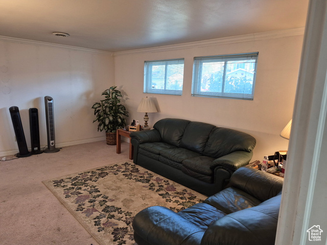 Photo 8 for MLS #2106667 at 825 N Star Crest Dr
