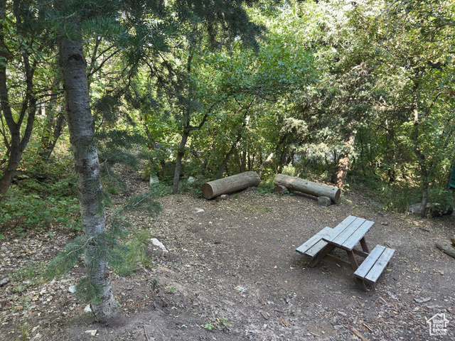 Photo 4 for MLS #2106735 at 49 N Pine Creek Rd