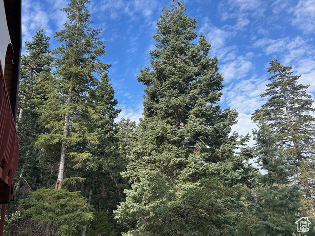 Photo 6 for MLS #2106735 at 49 N Pine Creek Rd