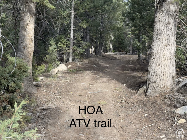 Photo 46 for MLS #2106735 at 49 N Pine Creek Rd