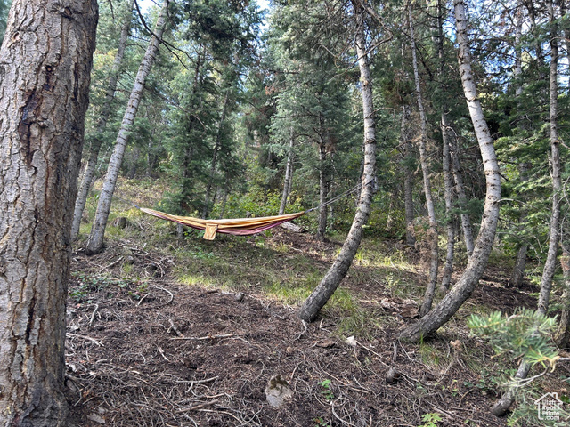 Photo 11 for MLS #2106735 at 49 N Pine Creek Rd