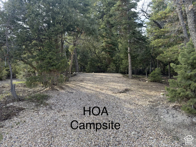 Photo 45 for MLS #2106735 at 49 N Pine Creek Rd