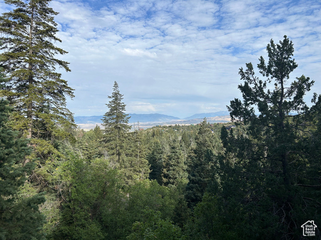 Photo 5 for MLS #2106735 at 49 N Pine Creek Rd