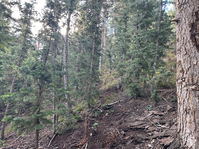 Photo 12 for MLS #2106735 at 49 N Pine Creek Rd