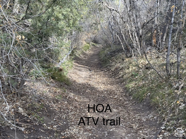 Photo 43 for MLS #2106735 at 49 N Pine Creek Rd