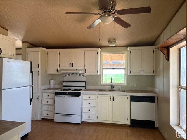 Photo 11 for MLS #2106759 at 1221 Cobble Hollow Dr
