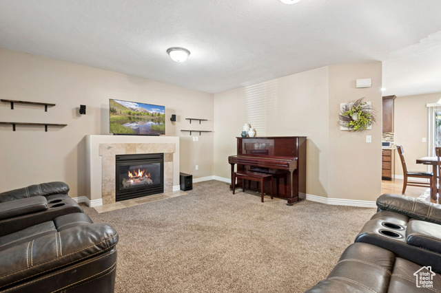 Photo 3 for MLS #2106770 at 6189 S Elderberry Ln