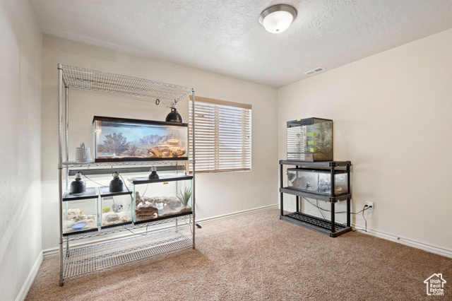Photo 28 for MLS #2106770 at 6189 S Elderberry Ln