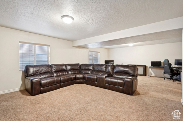 Photo 19 for MLS #2106770 at 6189 S Elderberry Ln