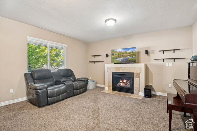 Photo 4 for MLS #2106770 at 6189 S Elderberry Ln