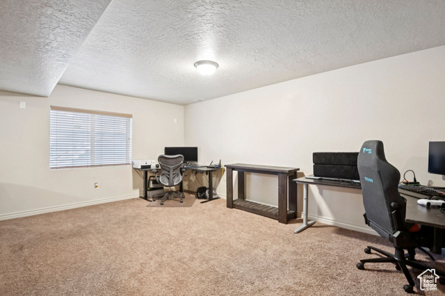 Photo 31 for MLS #2106770 at 6189 S Elderberry Ln