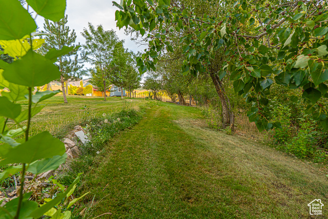 Photo 89 for MLS #2106888 at 1241 E 9300 North