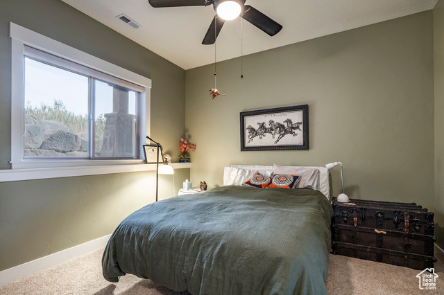 Photo 30 for MLS #2106898 at 2163 E 6825 North