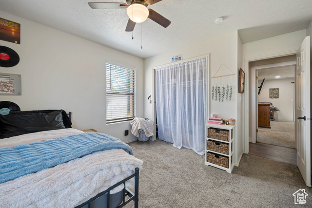 Photo 11 for MLS #2106989 at 3072 S Ninebark Cir