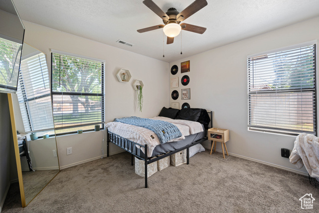 Photo 10 for MLS #2106989 at 3072 S Ninebark Cir