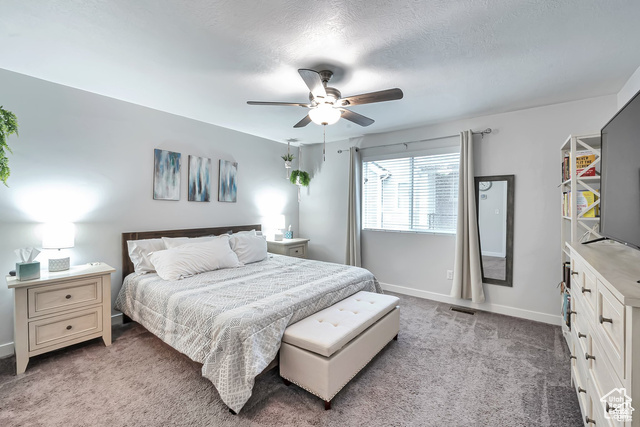 Photo 17 for MLS #2107052 at 15261 S Reins Way