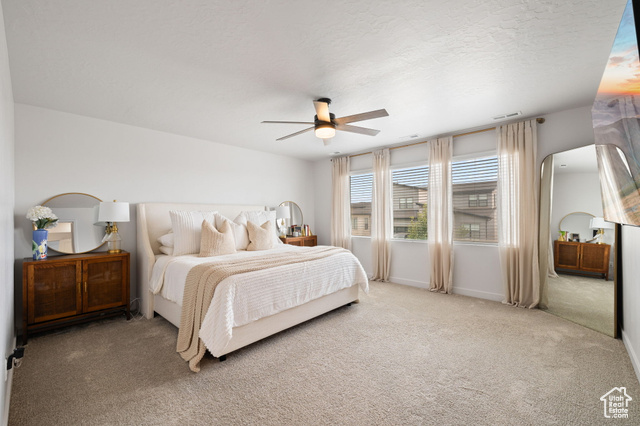 Photo 14 for MLS #2107116 at 715 S Miller Ave