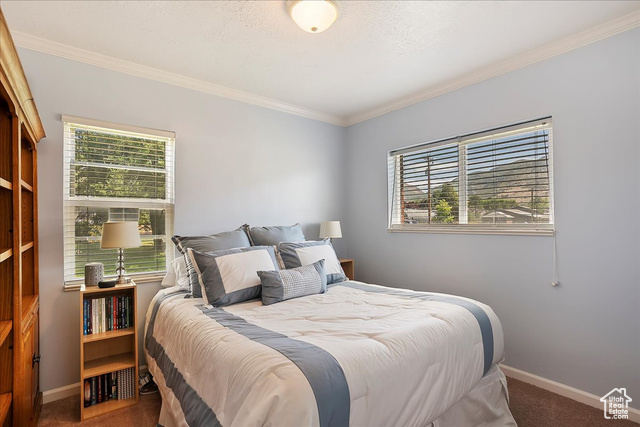 Photo 13 for MLS #2107150 at 1647 N Washington Blvd