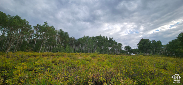 , Spanish Fork UT 84660