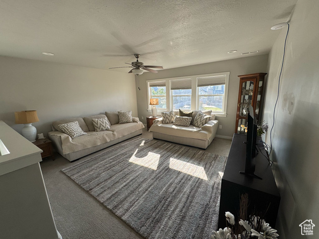 Photo 46 for MLS #2107170 at 7933 N Secretariat Rd