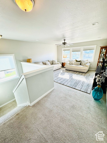 Photo 25 for MLS #2107170 at 7933 N Secretariat Rd
