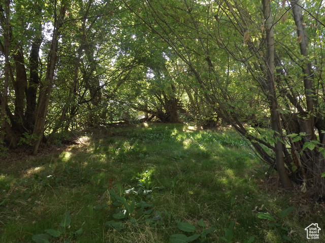 Photo 22 for MLS #2107195 at 197 2nd St