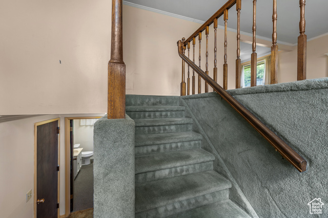 Photo 30 for MLS #2107196 at 247 Paulette Way