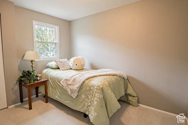 Photo 10 for MLS #2107212 at 67 W Pheasantbrook Dr