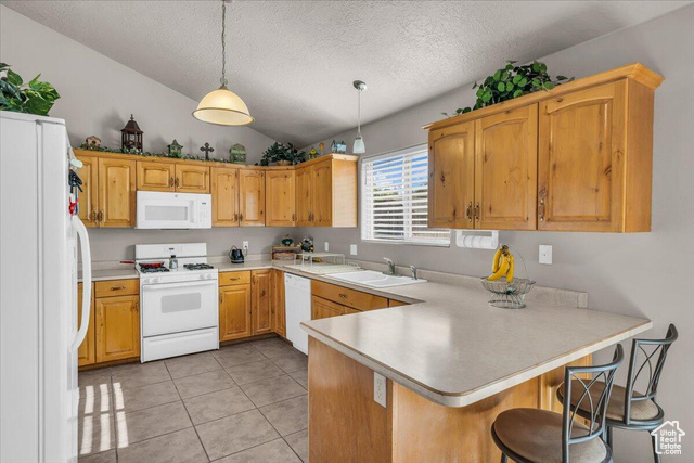 Photo 7 for MLS #2107260 at 1190 N Horsemans Park Dr
