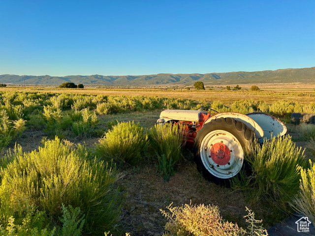 , Mt Pleasant UT 84647