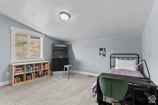 Photo 36 for MLS #2107367 at 2609 S Serviceberry Dr