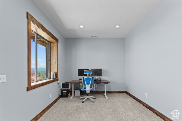 Photo 42 for MLS #2107367 at 2609 S Serviceberry Dr