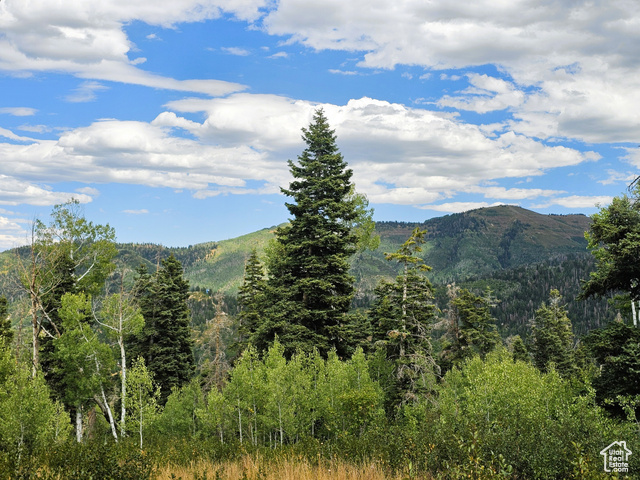 33  PINE RIDGE ESTATES DR, Mt Pleasant UT 84647
