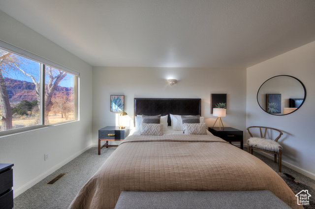 Photo 18 for MLS #2107422 at 3392 E La Camino Dr