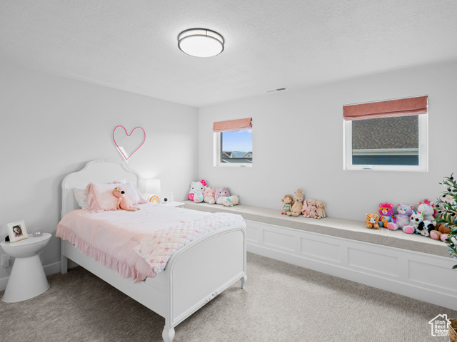 Photo 19 for MLS #2107439 at 245 S Summer Breeze Ln