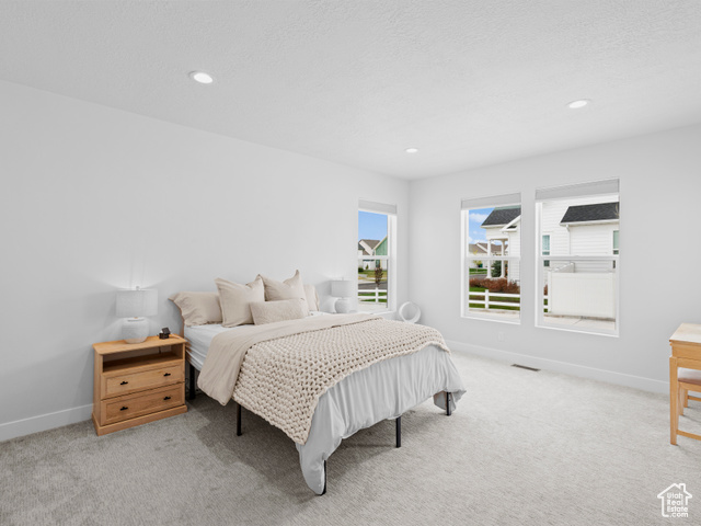 Photo 10 for MLS #2107439 at 245 S Summer Breeze Ln