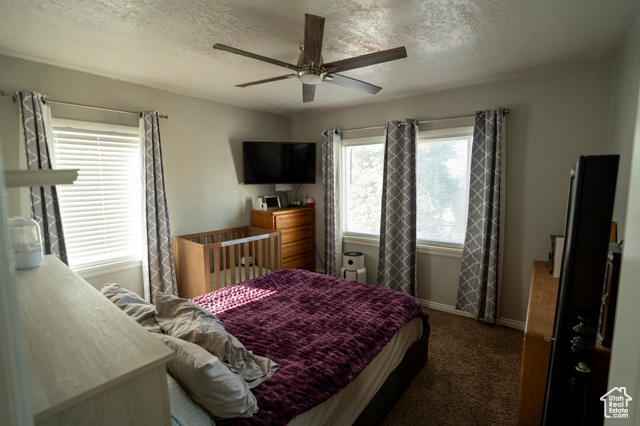 Photo 33 for MLS #2107458 at 1161 E 29th