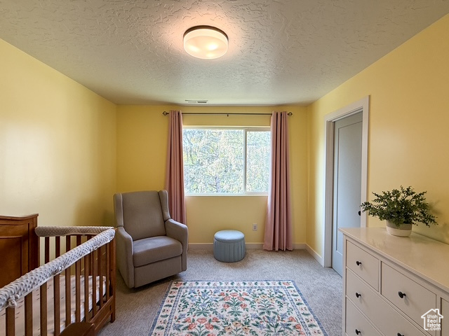 Photo 34 for MLS #2107535 at 473 E Alice Way