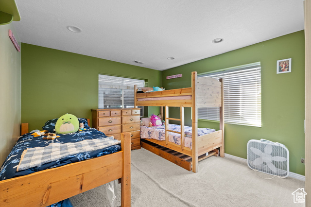 Photo 33 for MLS #2107549 at 8859 S Long Dr