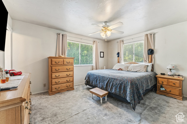 Photo 11 for MLS #2107550 at 8843 S Capernaum Rd