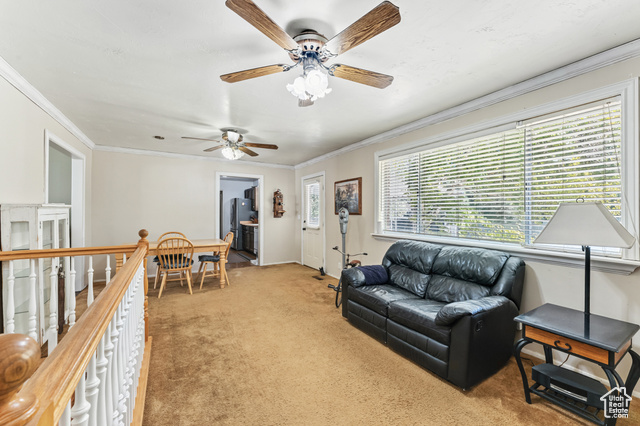 Photo 9 for MLS #2107550 at 8843 S Capernaum Rd