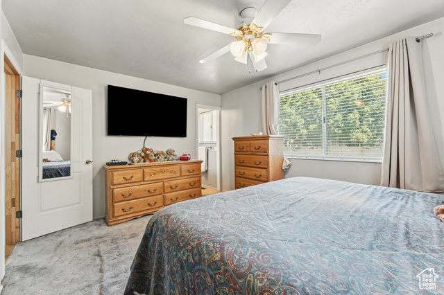 Photo 12 for MLS #2107550 at 8843 S Capernaum Rd