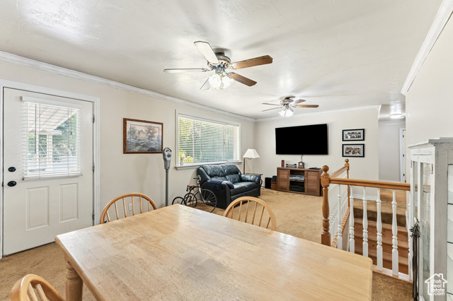 Photo 8 for MLS #2107550 at 8843 S Capernaum Rd