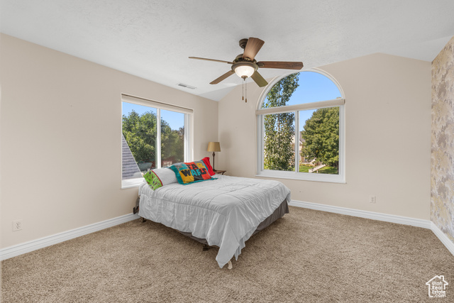 Photo 16 for MLS #2107551 at 6 N Shady Ln