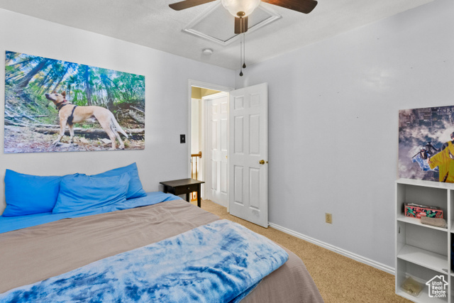 Photo 24 for MLS #2107600 at 1199 E Tiger Eye Dr