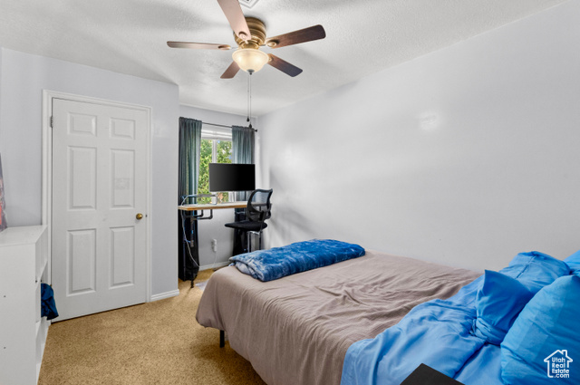 Photo 25 for MLS #2107600 at 1199 E Tiger Eye Dr