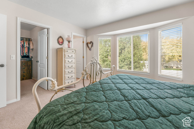 Photo 17 for MLS #2107637 at 14121 S Elk Horn Peak Dr