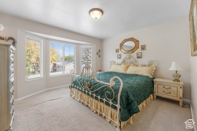 Photo 16 for MLS #2107637 at 14121 S Elk Horn Peak Dr